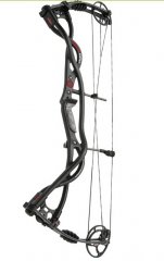 【展示】HOYT 碳素矩陣